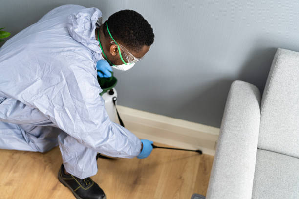 Best Pest Prevention Services  in Santa Maria, CA